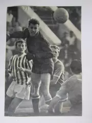 Вырезка. Футбол. Фото 531.