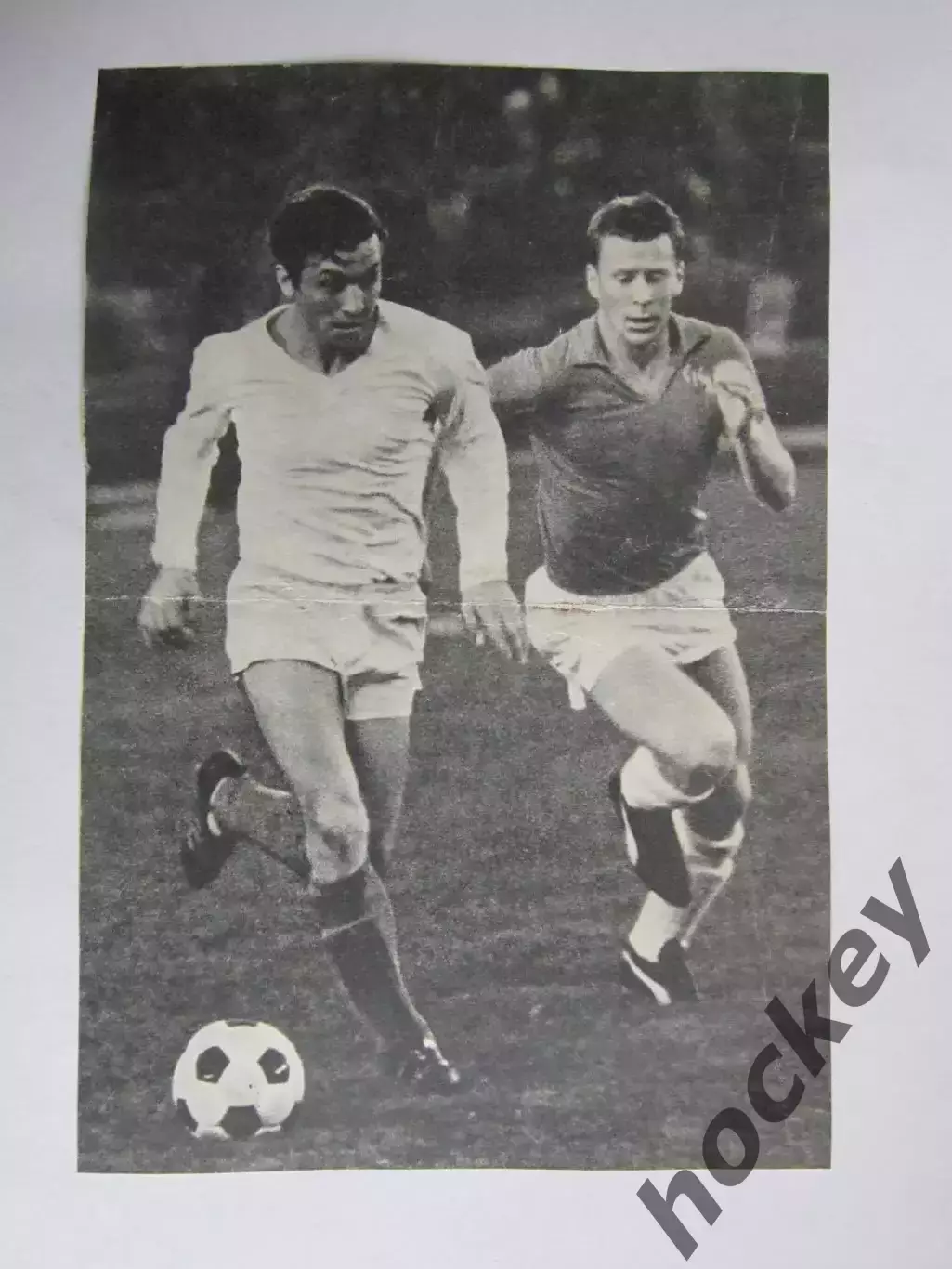 Вырезка. Футбол. Фото 532.