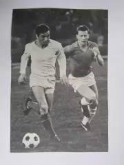 Вырезка. Футбол. Фото 532.