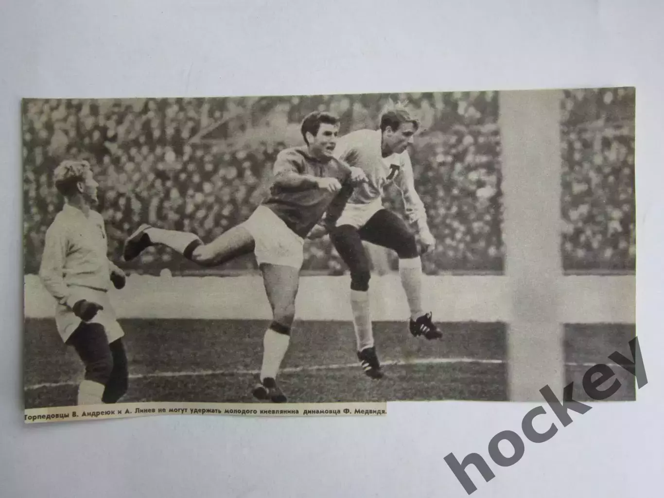 Вырезка. Футбол. Фото 533.