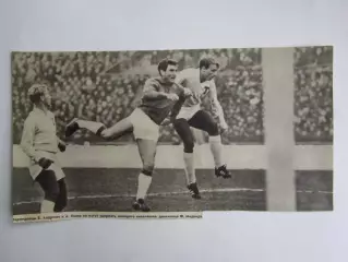 Вырезка. Футбол. Фото 533.