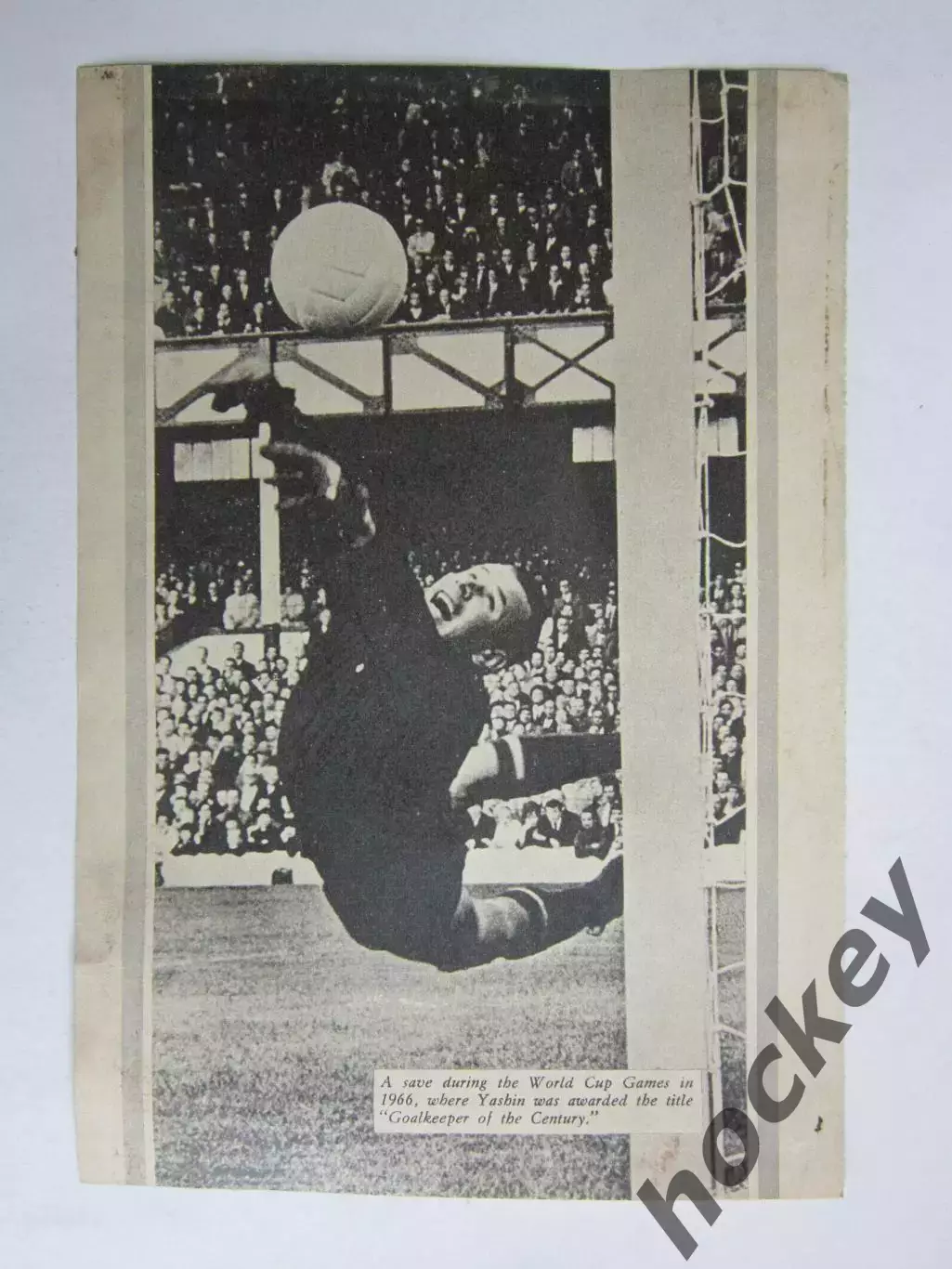 Вырезка. Футбол. Фото 537.