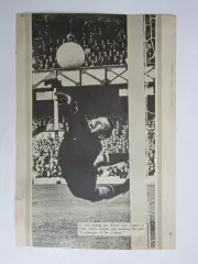 Вырезка. Футбол. Фото 537.