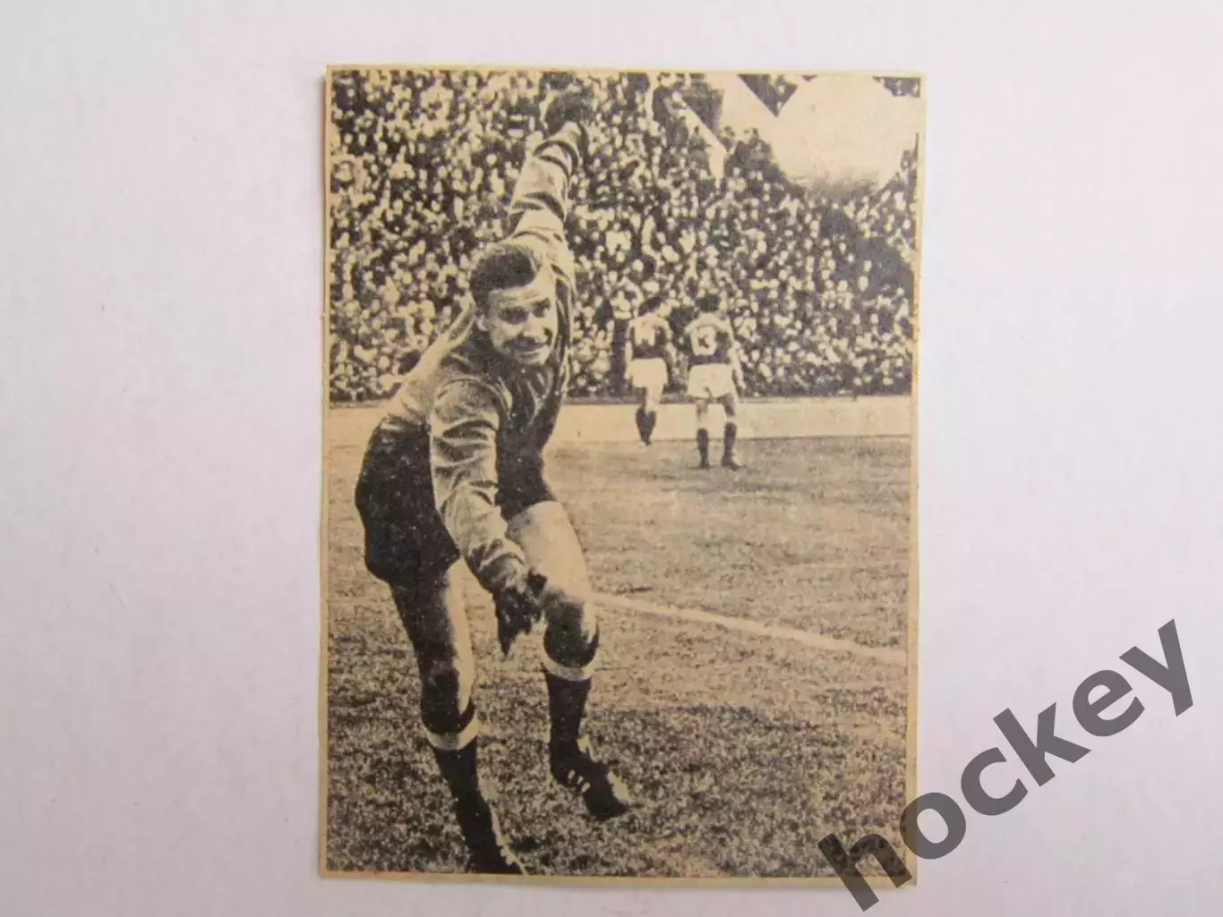 Вырезка. Футбол. Фото 538.