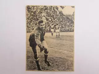 Вырезка. Футбол. Фото 538.