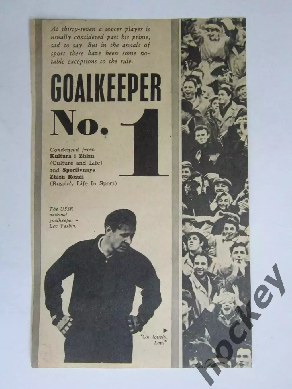 Вырезка. Футбол. Фото 539.