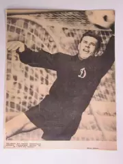 Вырезка. Футбол. Фото 540. Лев Яшин