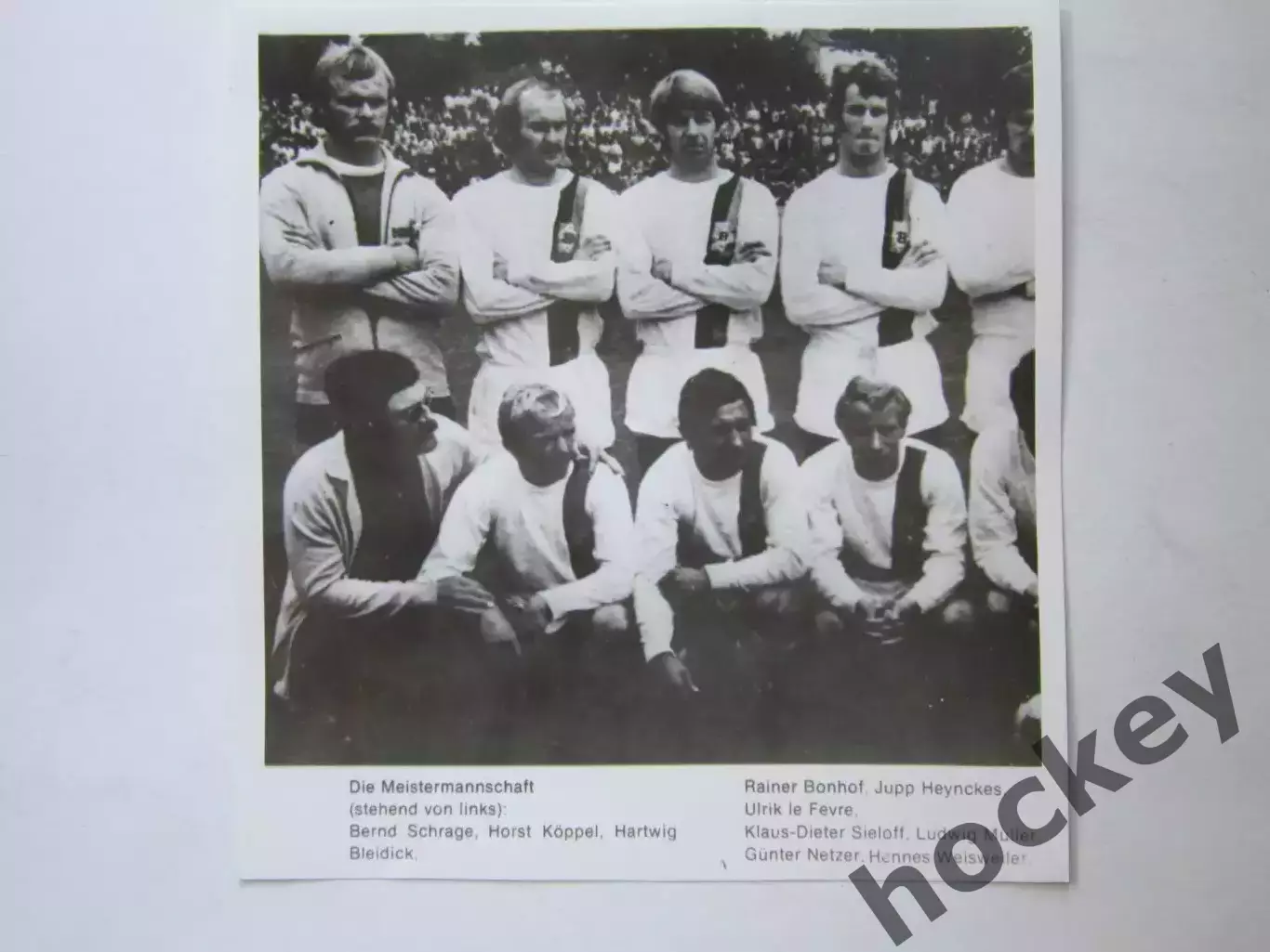 Вырезка. Футбол. Фото 550.