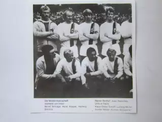 Вырезка. Футбол. Фото 550.