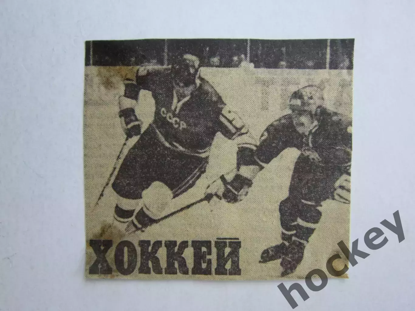 Вырезка. Хоккей. Фото 12