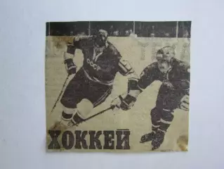 Вырезка. Хоккей. Фото 12
