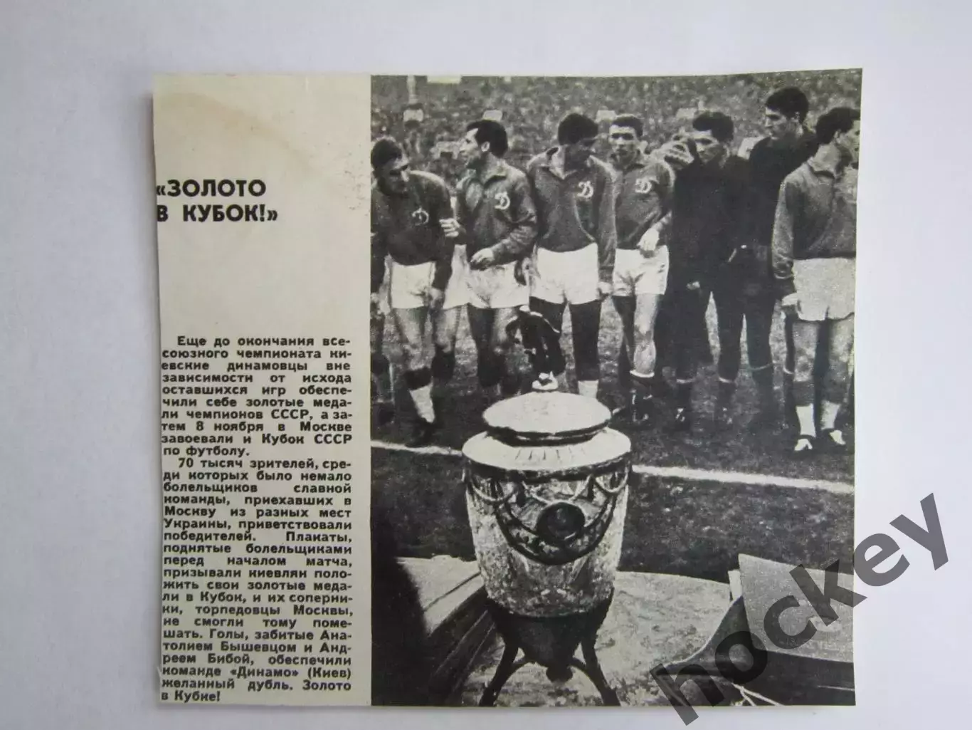 Вырезка. Футбол. Фото 555.