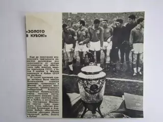 Вырезка. Футбол. Фото 555.