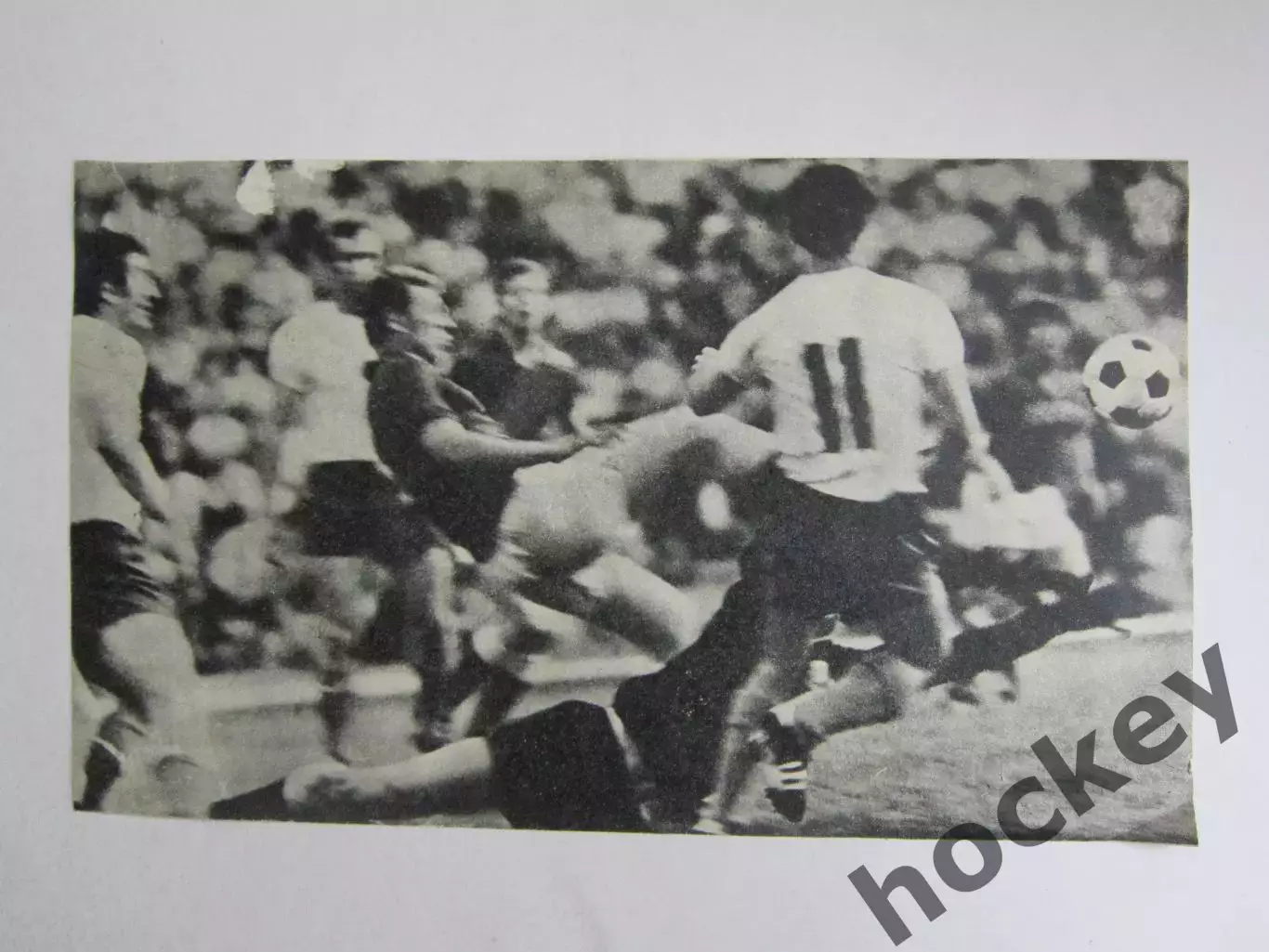 Вырезка. Футбол. Фото 557.