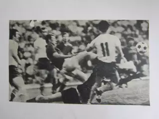 Вырезка. Футбол. Фото 557.