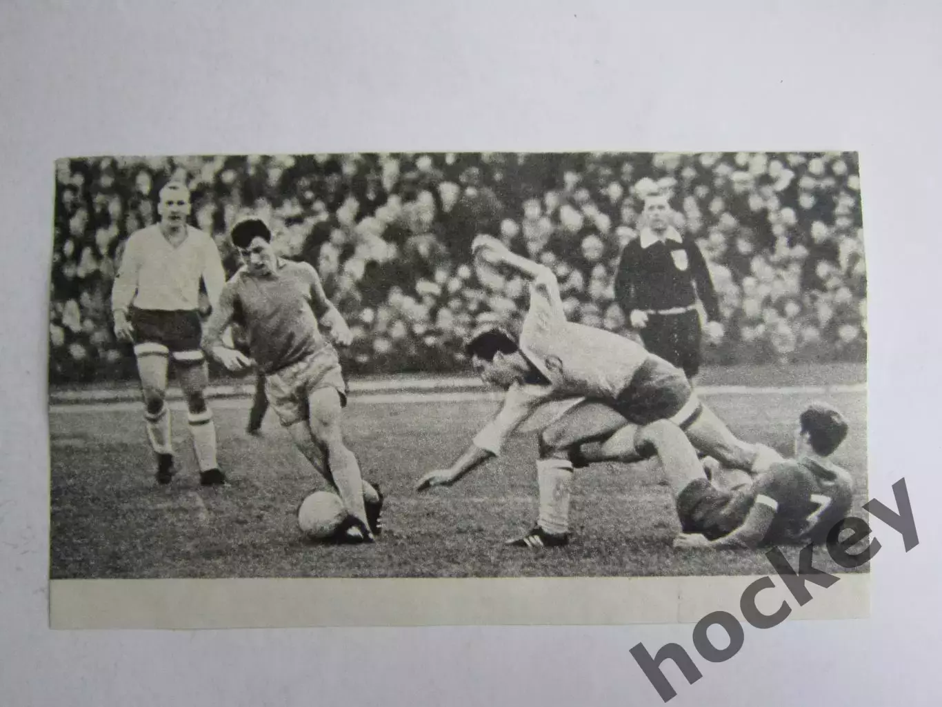 Вырезка. Футбол. Фото 558.