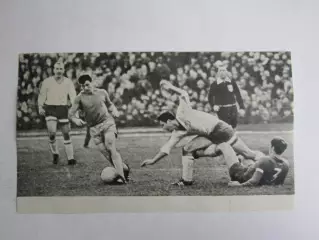 Вырезка. Футбол. Фото 558.