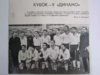 Вырезка. Футбол. Фото 559. Кубок - у Дианмо