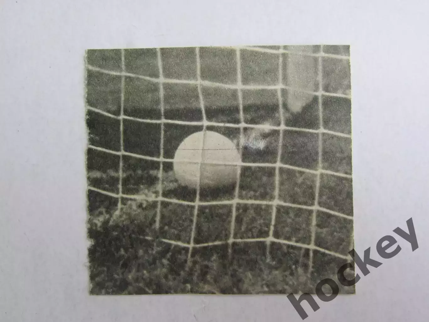 Вырезка. Футбол. Фото 561.