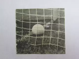 Вырезка. Футбол. Фото 561.