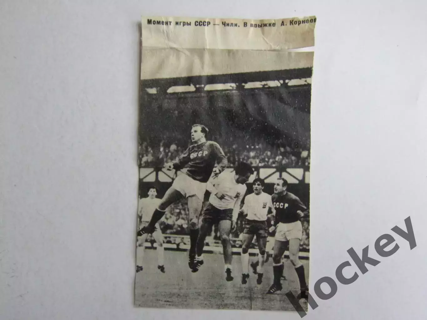 Вырезка. Футбол. Фото 562.