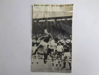 Вырезка. Футбол. Фото 562.