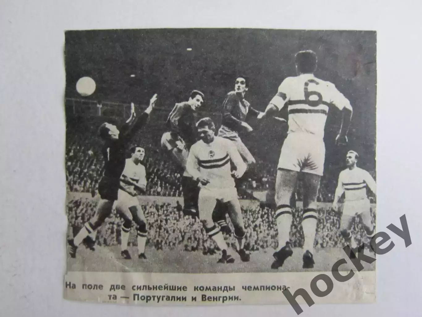 Вырезка. Футбол. Фото 563.