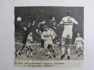 Вырезка. Футбол. Фото 563.