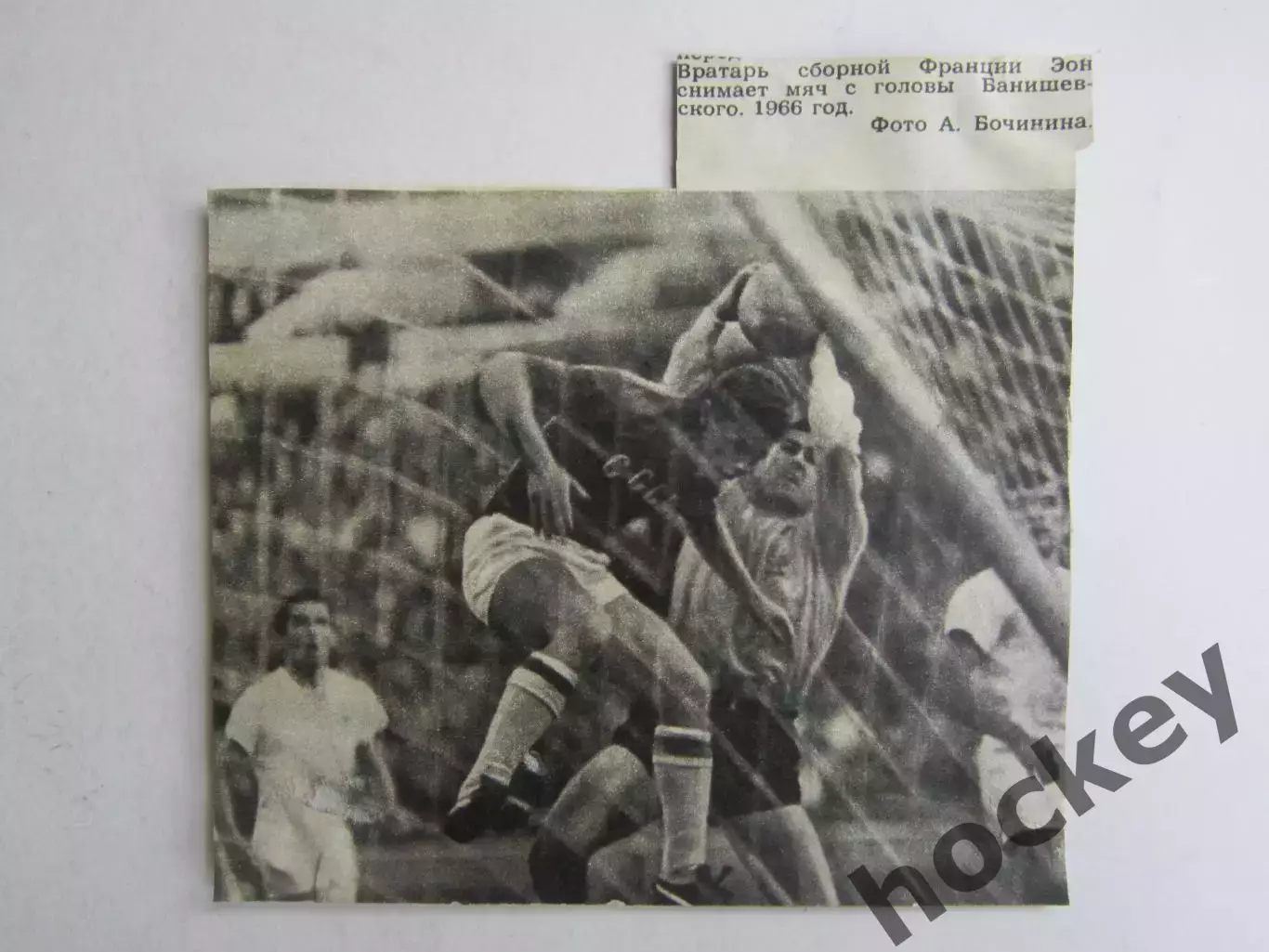 Вырезка. Футбол. Фото 564.