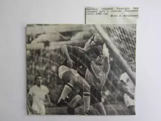 Вырезка. Футбол. Фото 564.