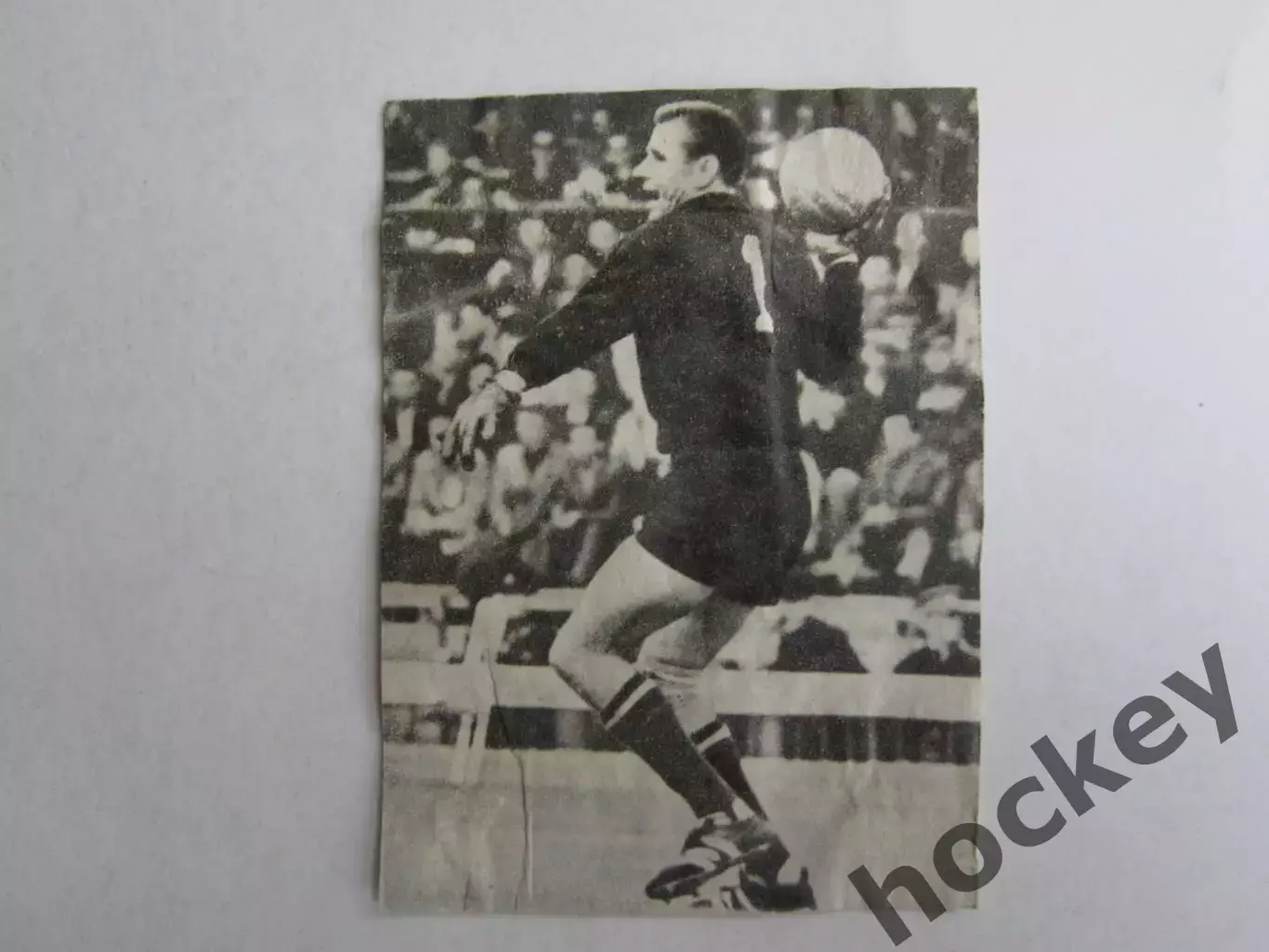 Вырезка. Футбол. Фото 568.