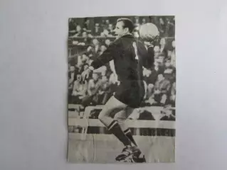 Вырезка. Футбол. Фото 568.