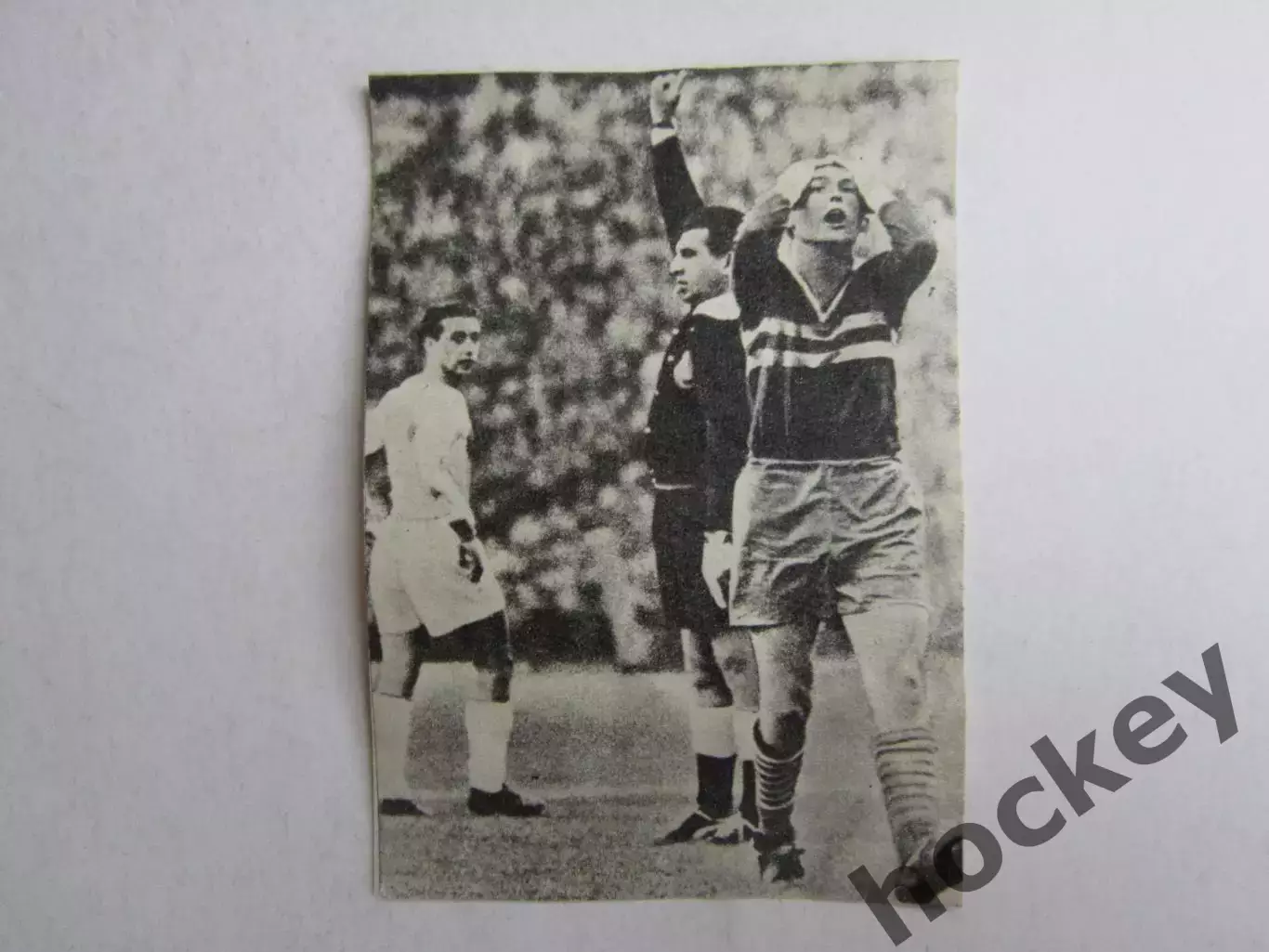 Вырезка. Футбол. Фото 569.