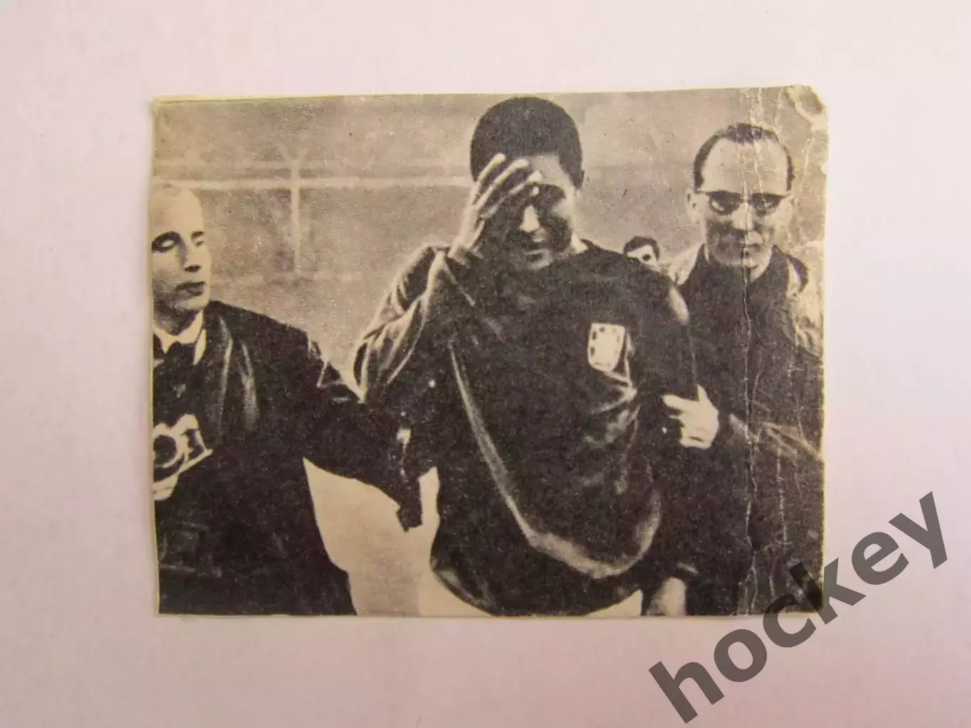 Вырезка. Футбол. Фото 571.