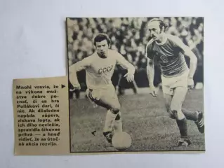 Вырезка. Футбол. Фото 572.