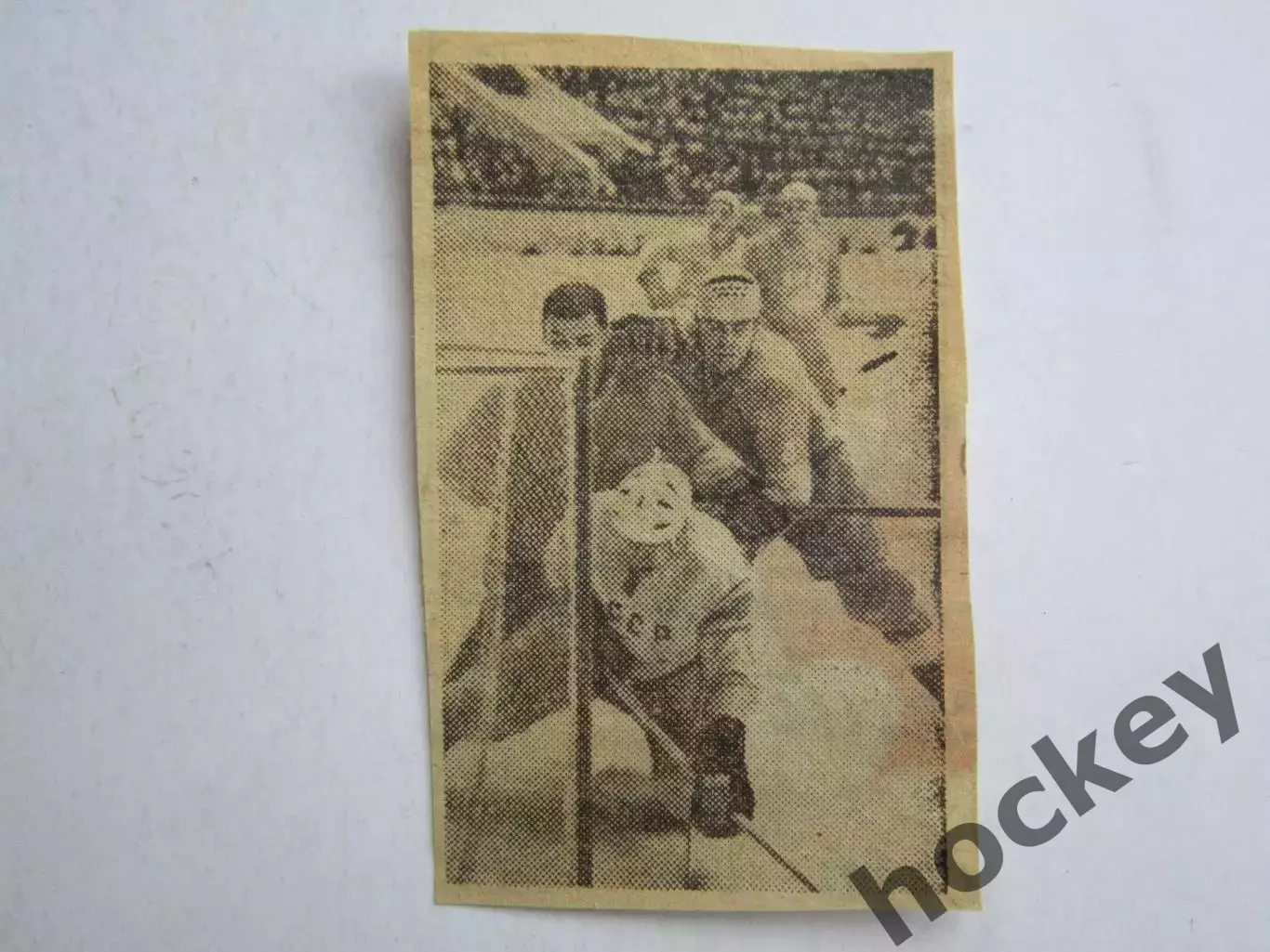 Вырезка. Хоккей. Фото 15. Эпизод матча чемпионата мира в Вене