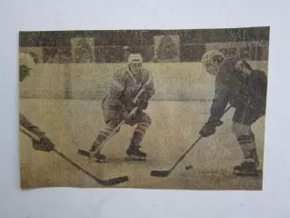 Вырезка. Хоккей. Фото 17. Матч с участием сборной СССР (Чемпионат мира, Вена)