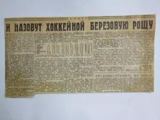 Вырезка. Хоккей. И назовут хоккейной березовую рощу (Чемпионат мира, Вена)