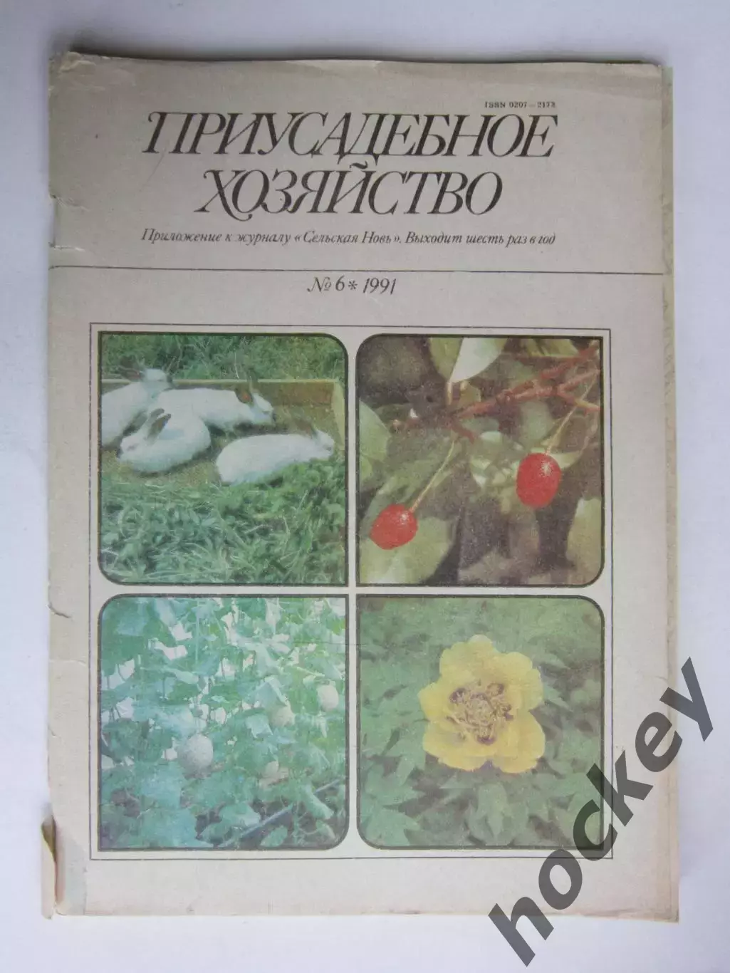 Приусадебное Хозяйство № 6.1991