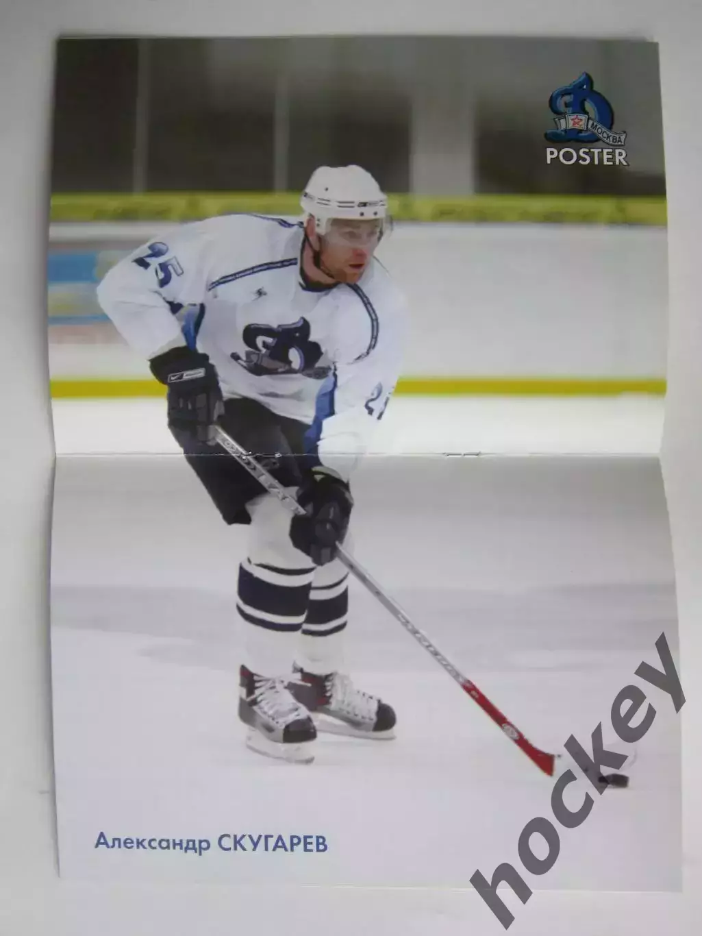 Динамо Москва - Ак Барс Казань 21.01.2007. Постер Александр Скугарев 1