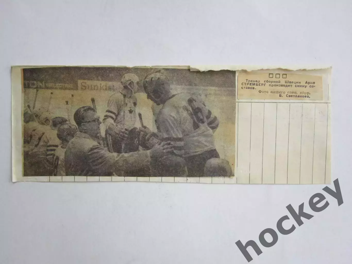 Вырезка. Хоккей. Фото 18. Скамейка сборной Швеции (Чемпионат мира, Вена)