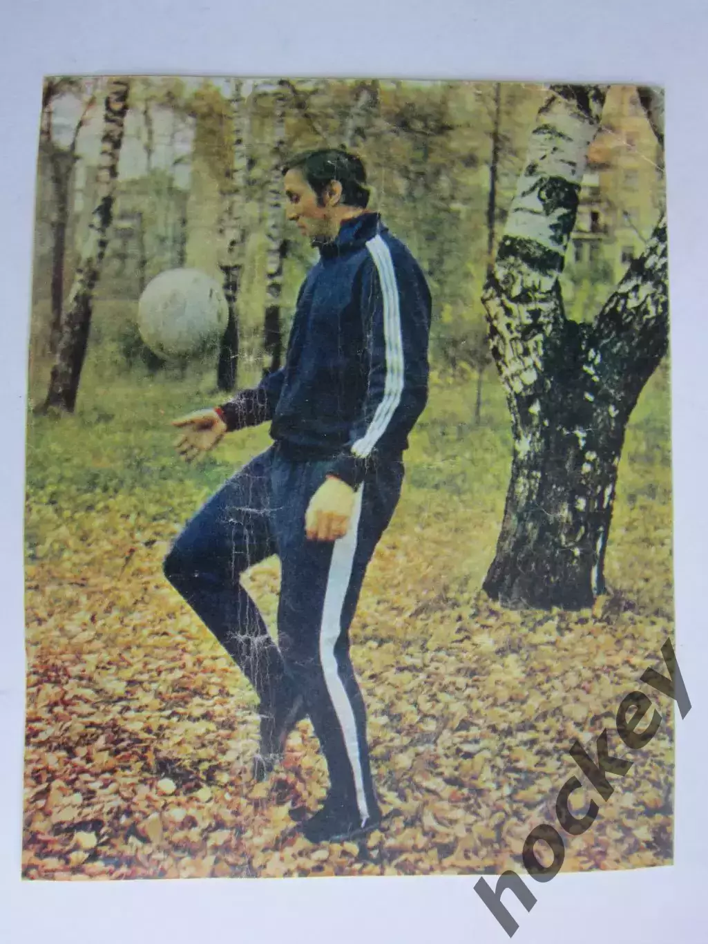 Вырезка. Футбол. Фото 579.