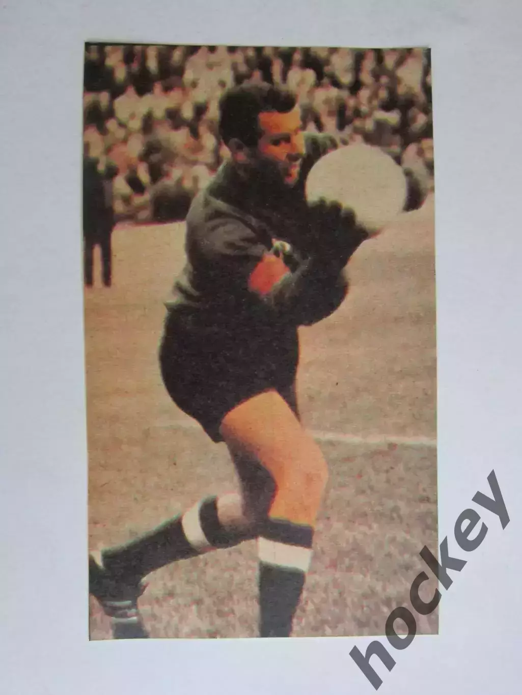 Вырезка. Футбол. Фото 580.