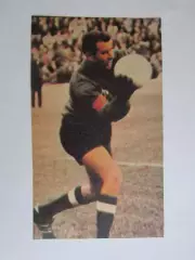 Вырезка. Футбол. Фото 580.