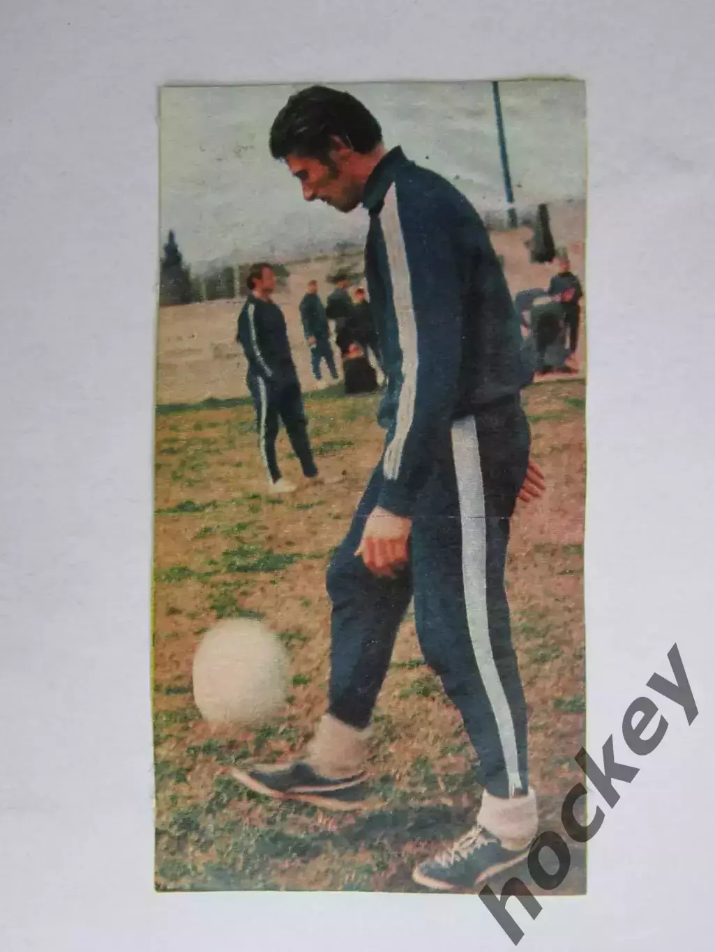 Вырезка. Футбол. Фото 581.