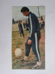 Вырезка. Футбол. Фото 581.