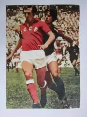 Вырезка. Футбол. Фото 582.