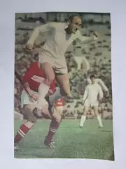 Вырезка. Футбол. Фото 584.