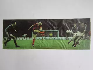 Вырезка. Футбол. Фото 586.