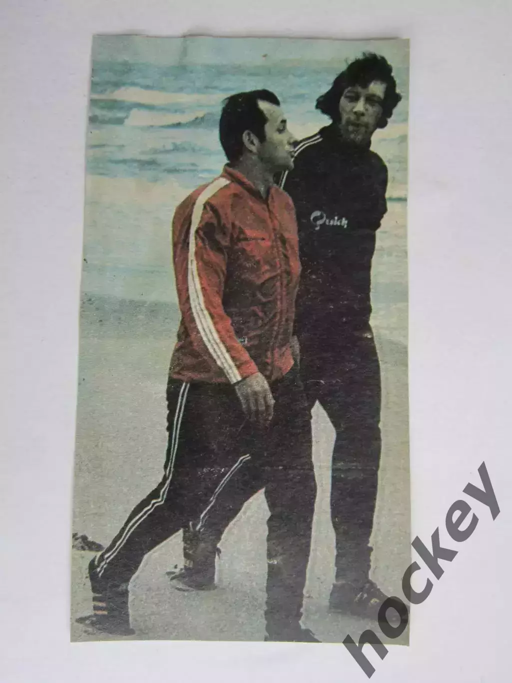 Вырезка. Футбол. Фото 588.